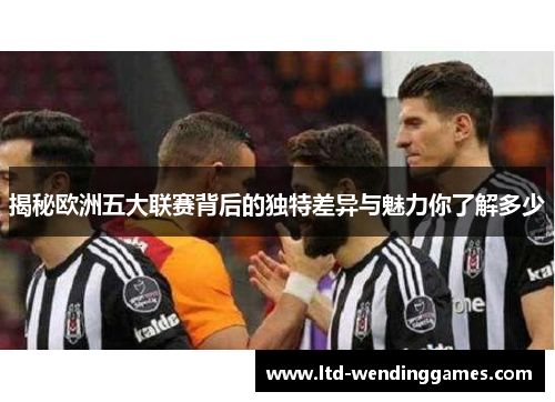 揭秘欧洲五大联赛背后的独特差异与魅力你了解多少